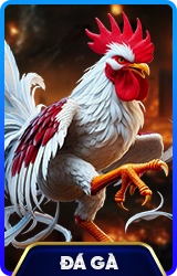 78WIN ⚽️ Trang Chủ Chính Thức 78WIN.COM Tặng 79K 2026 3 da ga 78win school